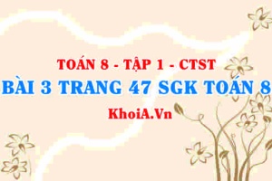 Bài 3 trang 47 SGK Toán 8 Tập 1 Chân trời sáng tạo